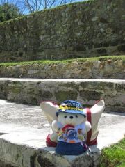 At Altun Ha (Mayan Ruins) in Belize..