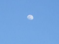 The Afternoon Moon.JPG