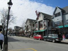 Downtown Bar Harbour