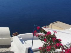 Amazing View Oia