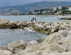 Scene from Port - Cannes, France