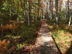 Jesup Path, Acadia National Park