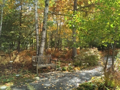 Acadia Park Garden Path