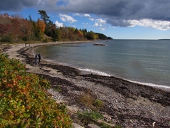 Acadia Park Shore