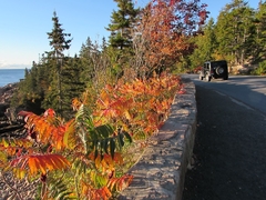 Acadia Park Loop Road